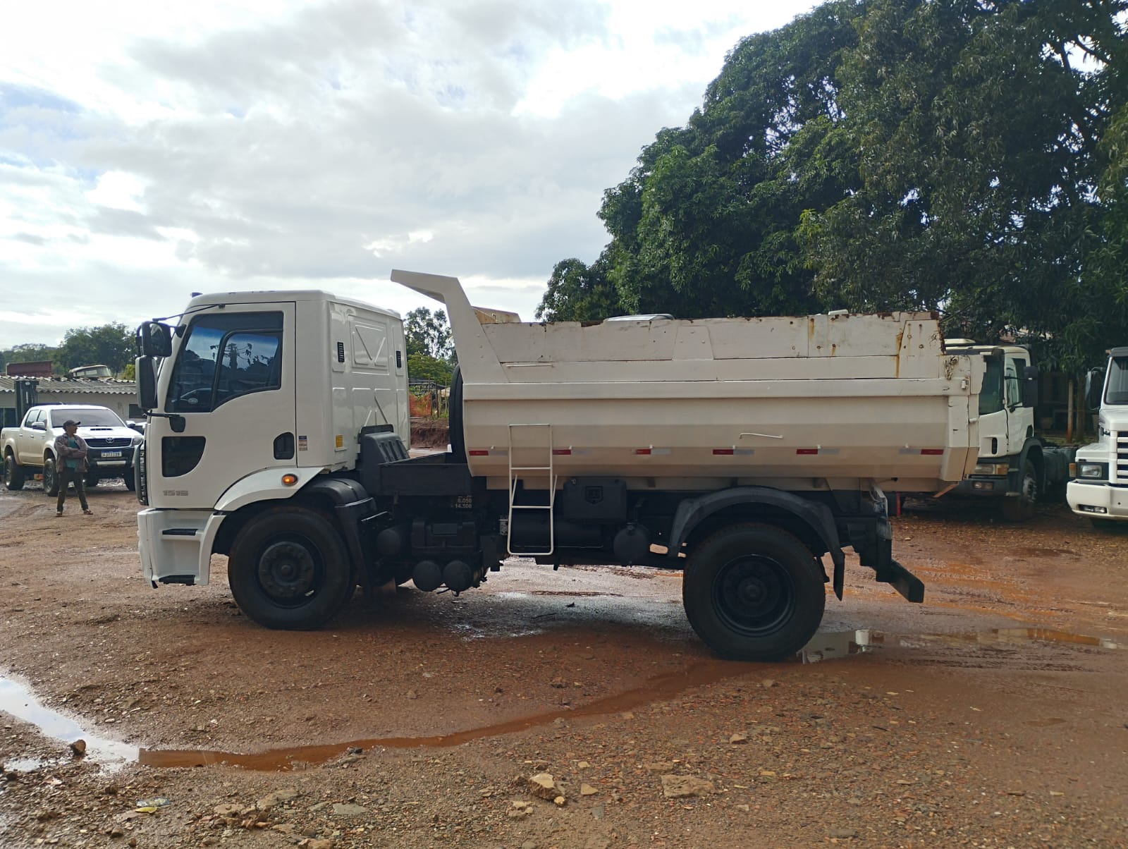 Ford 1519