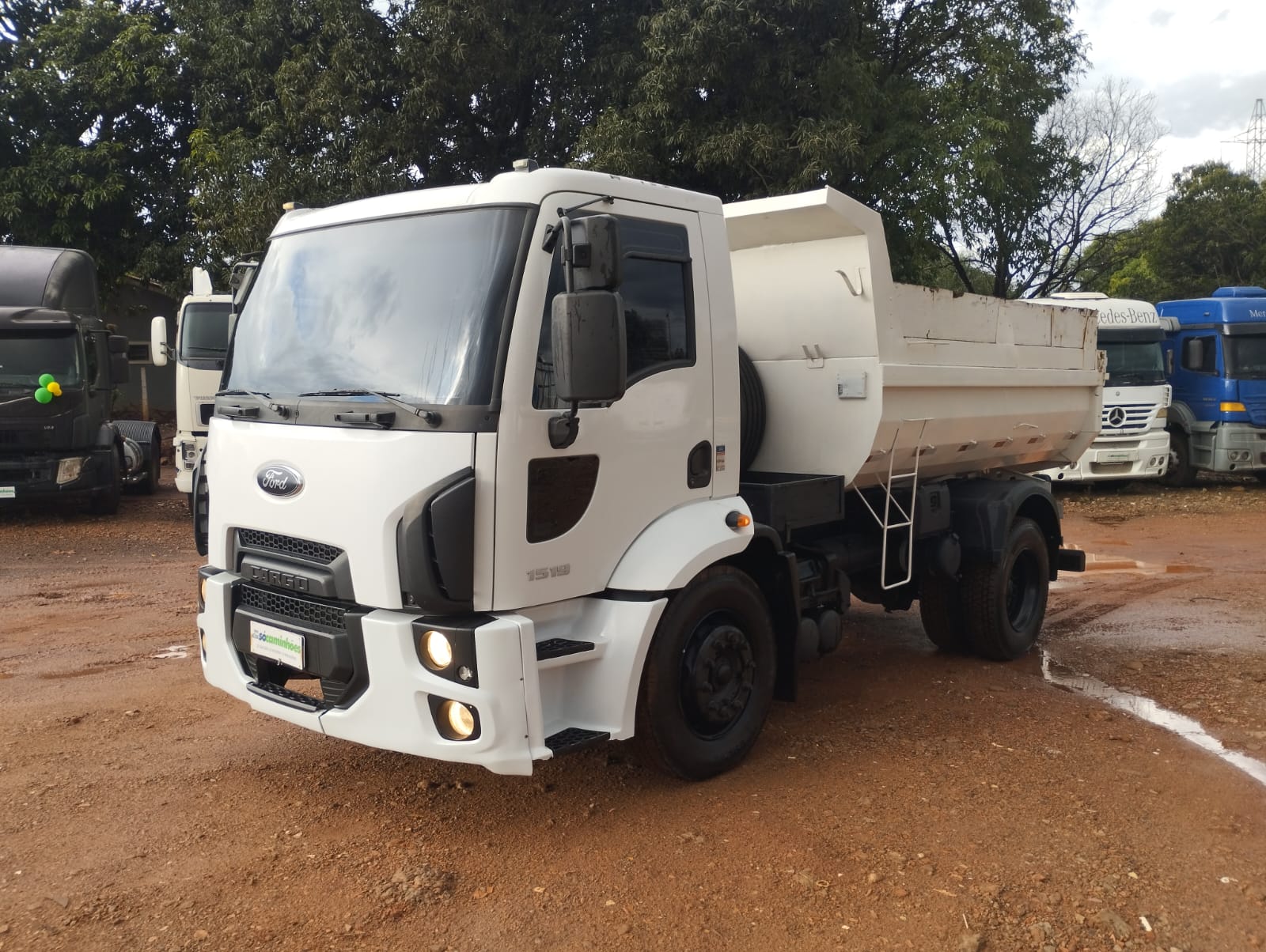 Ford 1519