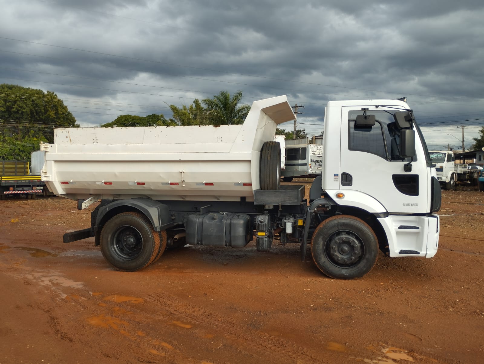 Ford 1519